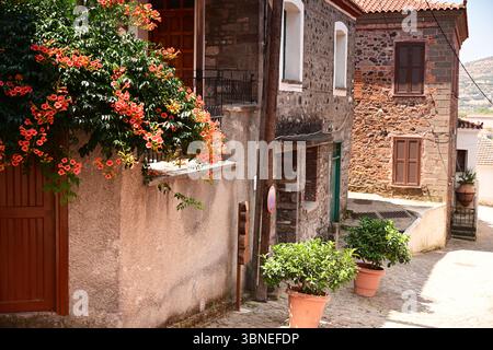 Village rural typique d'Agiassos, Île de Lesbos (Lesbos), Grèce Banque D'Images