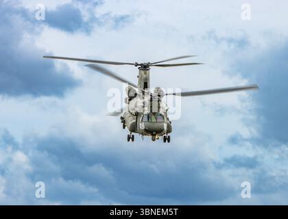 Chinook Banque D'Images