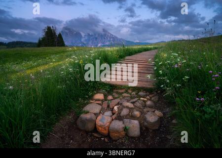 Paysage pittoresque avec un chemin en bois, herbe verte avec des fleurs Banque D'Images