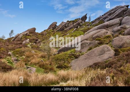 Ramshaw Rocks, un escarpement près de la pierre meulière cafards dans le Peak District, Staffordshire, Royaume-Uni. Banque D'Images