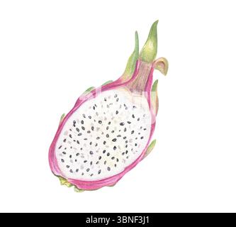 Moitié pitahaya rose fraîche avec chair blanche juteuse et graines noires illustration aquarelle arrière-plan isolé. Fruit de dragon sucré pour une nourriture saine Banque D'Images