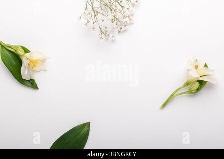 Concept minimal fait avec des fleurs sur fond blanc. Banque D'Images