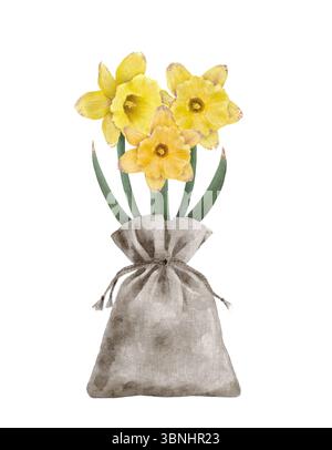 Une belle collection de jonquilles jaunes joyeuses dans un sac rustique, parfait pour un décor printanier charmant. Objet aquarelle isole dessiné à la main. Banque D'Images