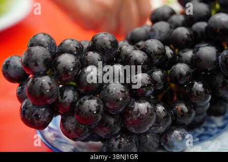 Raisins noirs brillants en gros plan avec des gouttelettes d'eau Banque D'Images