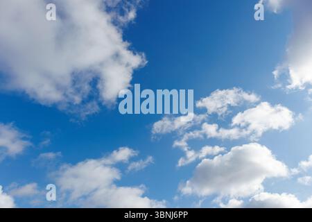 Ciel bleu éclatant avec des nuages de cumulus doux et blancs qui dérivent doucement, créant une scène météorologique lumineuse et paisible pendant la journée. Banque D'Images