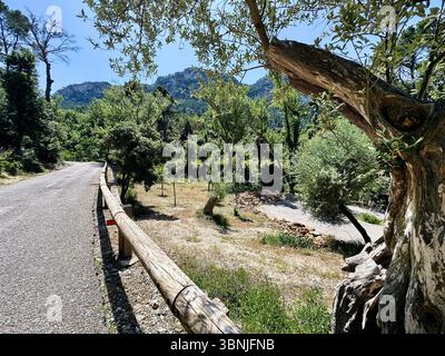 Cyclisme sur route à Majorque, Coll de Honor Banque D'Images