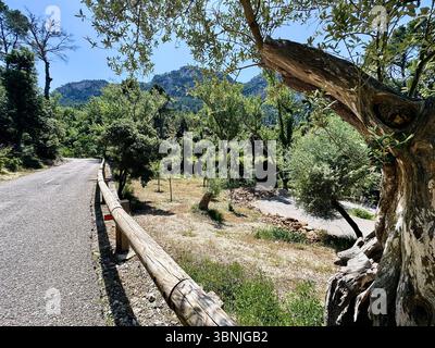 Rennrad fahren auf Mallorca, Coll de Honor *** cyclisme sur route à Majorque, Coll de Honor Banque D'Images
