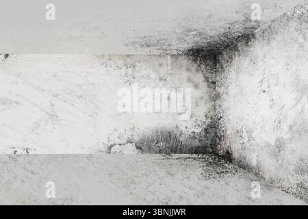 Le coin en béton montre de la peinture blanche écaillée et des taches de moisissure sur les surfaces de sol dans un design plat Banque D'Images