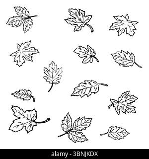 Feuilles, ensemble de silhouettes, croquis à l'encre noire et blanche. Illustration vectorielle. Feuilles d'érable, de raisin et de citrouille, isolées sur fond blanc. Thème de Illustration de Vecteur
