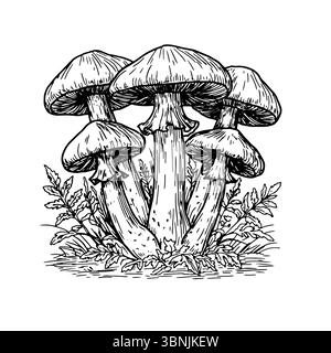 Champignons dans l'herbe au milieu de la forêt. Thicets, un croquis à l'encre noire et blanche. Illustration vectorielle. Décor d'automne, isolé sur un fond blanc. Illustration de Vecteur