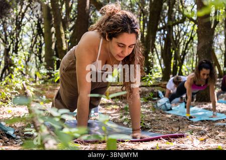 Groupe de personnes s'engagent dans le yoga au milieu d'une forêt tranquille, combinant la randonnée avec la pratique de pleine conscience. Le cadre naturel serein améliore la concentration et la détente Banque D'Images