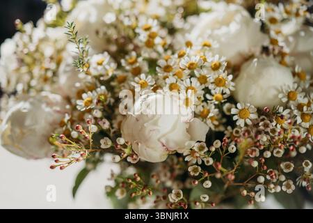 Un superbe bouquet de pivoines et de marguerites magnifiquement exposées dans une lumière douce. Parfait pour le décor de mariage, cet arrangement respire la beauté naturelle Banque D'Images