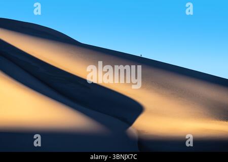Image captivante de dunes de sable doré illuminées par la douce lumière du matin, projetant des ombres spectaculaires sur le ciel bleu profond, créant une vue magnifique Banque D'Images