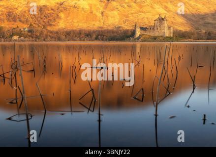Le château de Kilchurn jette un magnifique reflet dans les eaux calmes au coucher du soleil, encadré par des branches squelettiques en Écosse. Banque D'Images