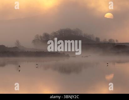 Les oiseaux prennent leur envol au-dessus d'un lac tranquille enveloppé de brume alors que le soleil se lève, projetant une lueur chaude sur le paysage serein de Glencoe, en Écosse. Banque D'Images