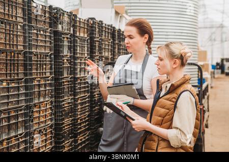 Les travailleurs des serres examinent les produits fraîchement récoltés dans un milieu industriel, analysant la qualité et la documentation. Les caisses empilées et l'équipement sont v Banque D'Images
