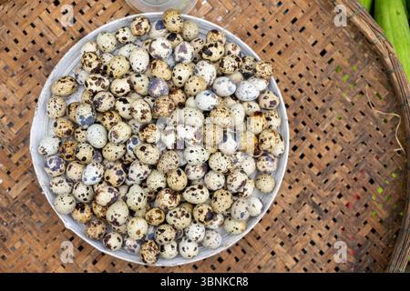 Oeufs de caille frais au marché local d'Asie du Sud-est Banque D'Images