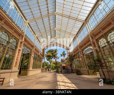 L'intérieur lumineux et aéré de l'Hivernacle, une serre du XIXe siècle à Barcelone, présente un plafond en verre voûté. Espagne. Banque D'Images