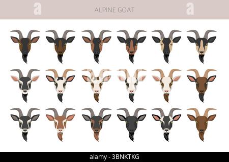Chèvre alpine. Conception infographique des races de chèvres. Motif plat d'élevage. Illustration vectorielle Illustration de Vecteur