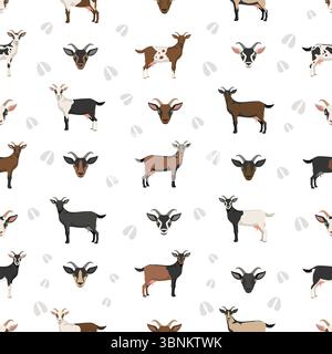 Chèvre alpine. Conception infographique des races de chèvres. Motif plat d'élevage. Illustration vectorielle Illustration de Vecteur