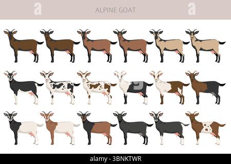 Chèvre alpine. Conception infographique des races de chèvres. Motif plat d'élevage. Illustration vectorielle Illustration de Vecteur
