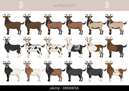Chèvre alpine. Conception infographique des races de chèvres. Motif plat d'élevage. Illustration vectorielle Illustration de Vecteur