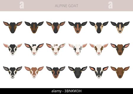Chèvre alpine. Conception infographique des races de chèvres. Motif plat d'élevage. Illustration vectorielle Illustration de Vecteur