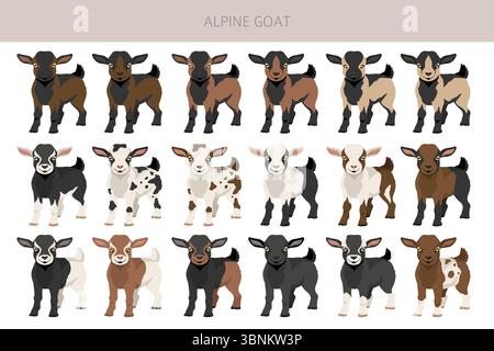 Chèvre alpine. Conception infographique des races de chèvres. Motif plat d'élevage. Illustration vectorielle Illustration de Vecteur