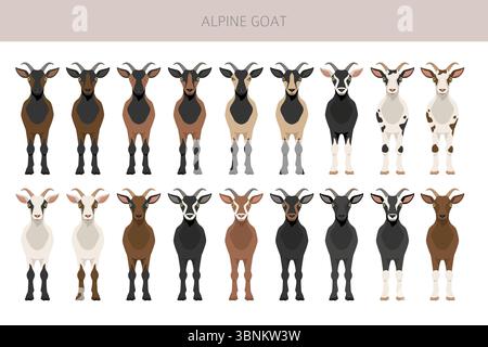 Chèvre alpine. Conception infographique des races de chèvres. Motif plat d'élevage. Illustration vectorielle Illustration de Vecteur