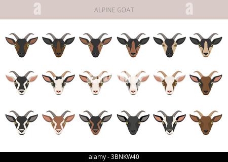 Chèvre alpine. Conception infographique des races de chèvres. Motif plat d'élevage. Illustration vectorielle Illustration de Vecteur