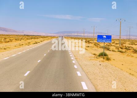 Route P3 à travers la steppe désertique de Tozeur à Gafsa, panneaux indiquant les dromadaires, Tunisie Banque D'Images