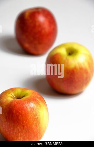 Ensemble de photos de pommes sur un fond blanc Banque D'Images