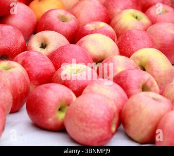 Ensemble de photos de pommes sur un fond blanc Banque D'Images
