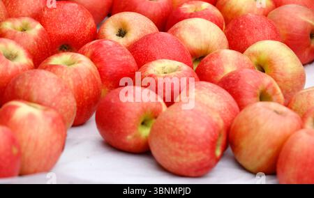 Ensemble de photos de pommes sur un fond blanc Banque D'Images