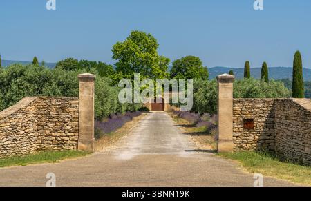 Ferme de lavernder de Provence Banque D'Images