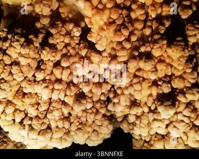 Grottes au Portugal, authentiques cathédrales souterraines Banque D'Images