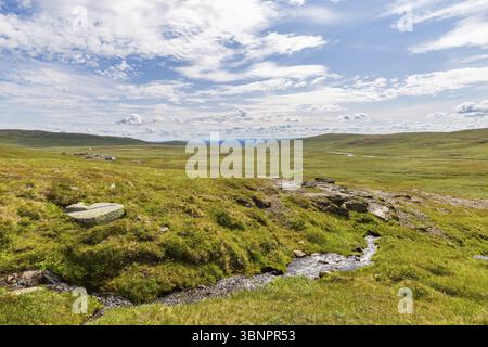 Landscaspe avec vue sur le centre de service Prestholtseter et café sous Hallingskarvet près de Geilo en Norvège, Scandinavie, Geilo, Noorwegen Banque D'Images