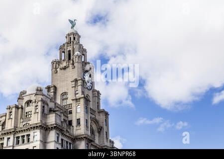 Liverpool, Royaume-Uni : 02 août 2018 : Streetview sur le Royal Liver Building à Liverpool, Royaume-Uni, Liverpool, Verenigd Koninkrijk Banque D'Images