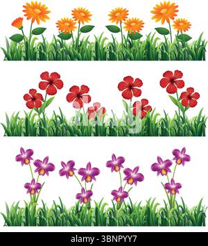 Illustration vectorielle colorée de fleurs et d'herbe en trois rangées distinctes. Couleurs vives et vives avec des éléments botaniques détaillés Illustration de Vecteur