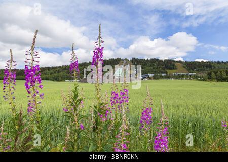 Célèbre stade de saut à ski Olympiapark Lillehammer en Norvège, connu sous le nom de Lysgardsbakken, a ouvert en 1994, spécifiquement pour les XVIIe Jeux Olympiques d'hiver, Li Banque D'Images