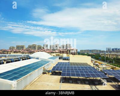 Wanda Mall Rooftop Solar PV Array sous ciel d'été clair, Dongying, Shandong, Chine Banque D'Images