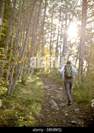 Photo de dos éclairée par le soleil d'un homme d'âge moyen remontant un sentier entouré d'arbres. Banque D'Images