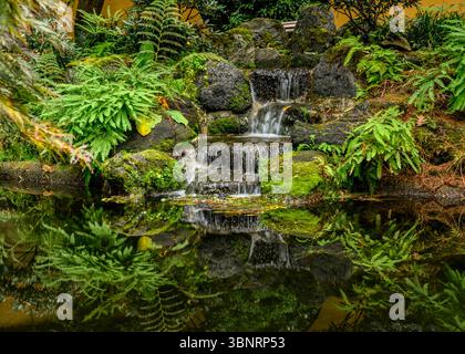 Cet établissement aquatique tranquille est entouré d'une végétation luxuriante dans un jardin Banque D'Images