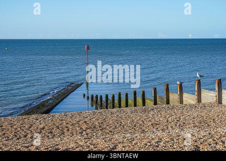 Groyne en bois à la plage à Whitstable, Kent, Angleterre Royaume-Uni Banque D'Images