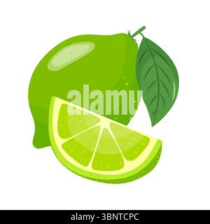 Ensemble citron vert. Fruits entiers brillants avec des feuilles, des moitiés, des tranches. Éléments pour le design printemps et été. Dessiné à la main. Illustration de Vecteur