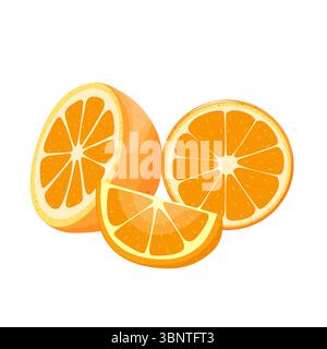 Orange. Set avec la moitié, tranche ronde et coin d'orange sur fond blanc. Saison des fruits tropicaux. Illustration de Vecteur