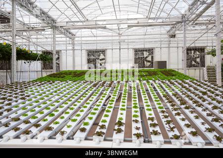 Living with the Land est une promenade en bateau lente composée d'une promenade sombre et d'une visite de la serre située dans le Land, un pavillon à World nature at Banque D'Images