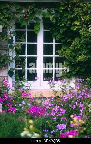 Vue rapprochée d'une fenêtre Cottage entourée de Ivy and Flowers, New Jersey, États-Unis Banque D'Images