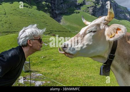 Homme rencontre vache - sur le chemin de Hobielalm, 1 700 mètres d'altitude, Engelberg. Un humain fait une bouche embrassante à une vache qui sort sa langue dans une interaction ludique sur une prairie alpine à Hobiel-Alp, Uri, Suisse, près d'Engelberg Banque D'Images