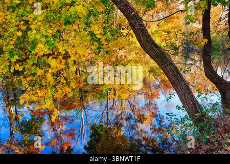 Reflets colorés de feuillage d'automne dans le Delaware et le canal Raitan, Millstone, comté de Mercer, New Jersey, États-Unis Banque D'Images